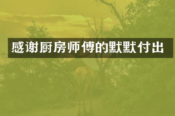 感谢厨房师傅的默默付出