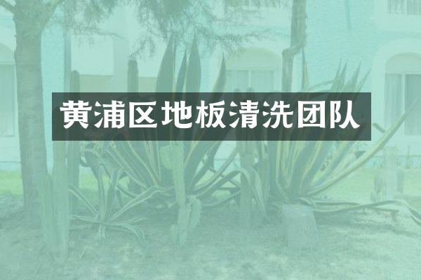 黄浦区地板清洗团队