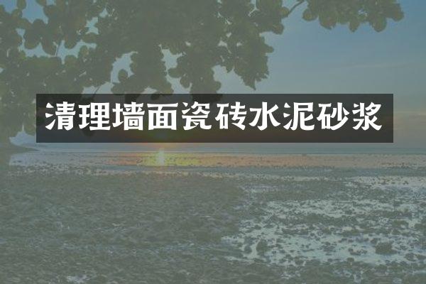 清理墙面瓷砖水泥砂浆