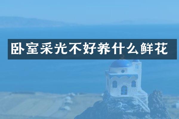 卧室采光不好养什么鲜花