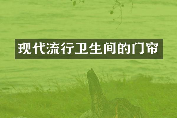 现代流行卫生间的门帘