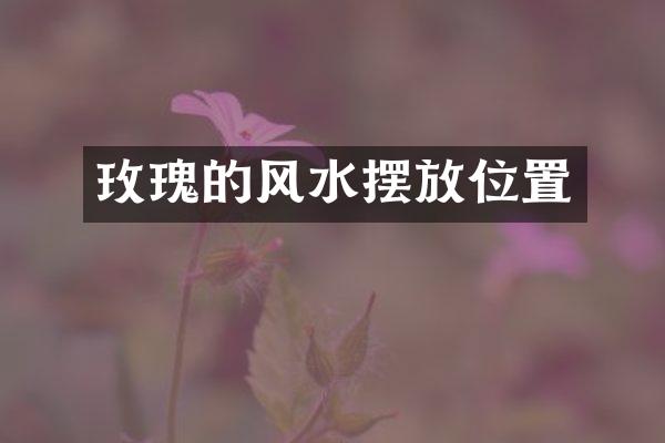 玫瑰的风水摆放位置