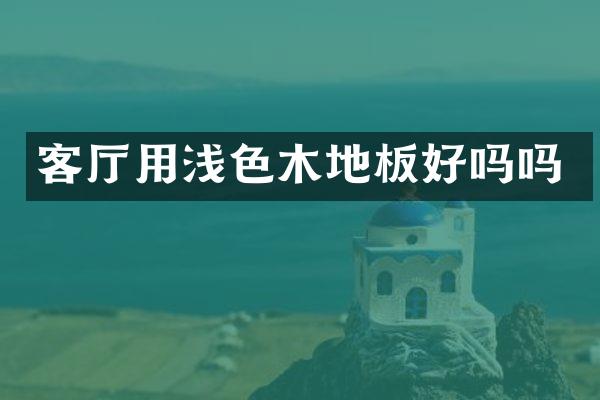 客厅用浅色木地板好吗吗