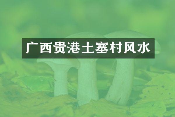 广西贵港土塞村风水
