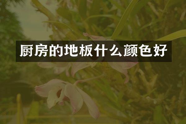 厨房的地板什么颜色好
