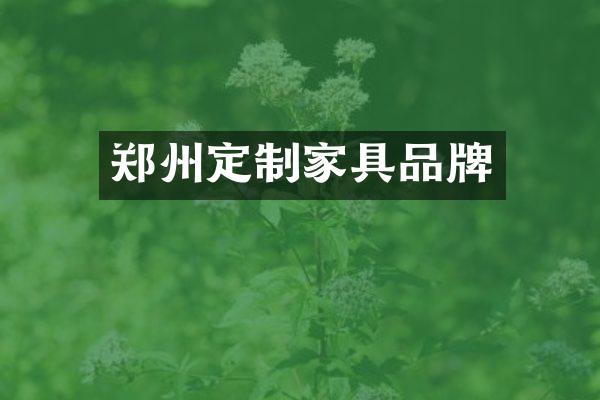 郑州定制家具品牌