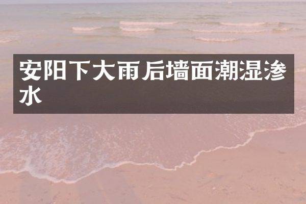 安阳下大雨后墙面潮湿渗水