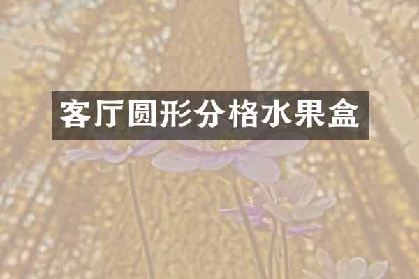 客厅圆形分格水果盒