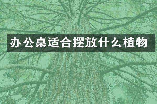 办公桌适合摆放什么植物