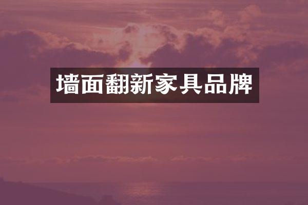 墙面翻新家具品牌