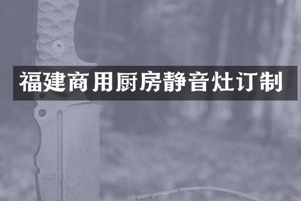 福建商用厨房静音灶订制