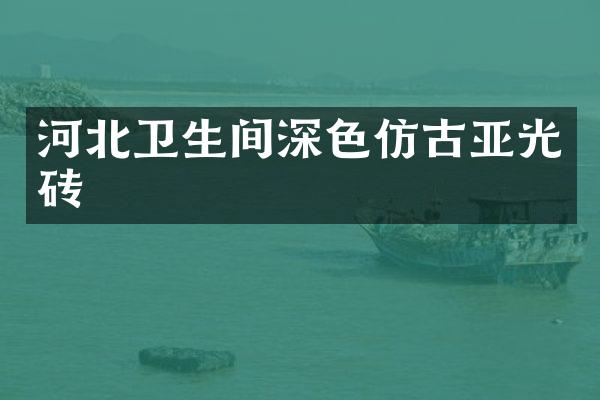 河北卫生间深色仿古亚光砖