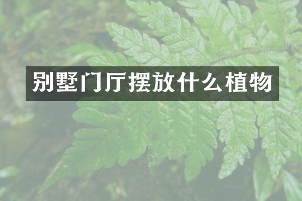 别墅门厅摆放什么植物