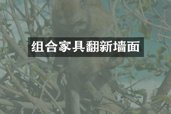 组合家具翻新墙面