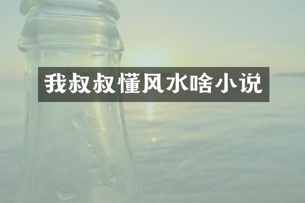 我叔叔懂风水啥小说