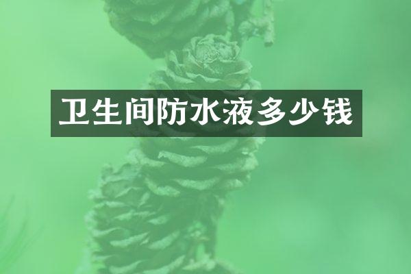 卫生间防水液多少钱