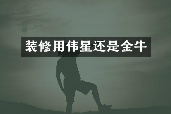 装修用伟星还是金牛