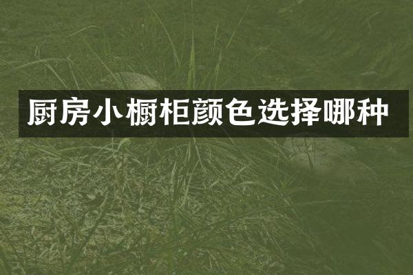 厨房小橱柜颜色选择哪种