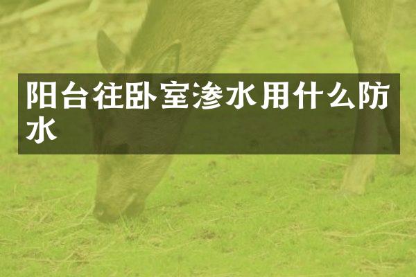 阳台往卧室渗水用什么防水