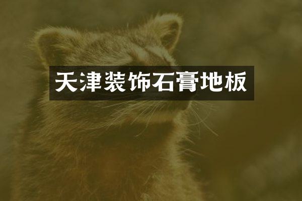 天津装饰石膏地板