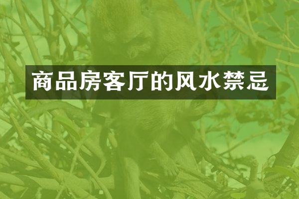 商品房客厅的风水禁忌