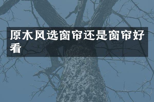 原木风选窗帘还是窗帘好看