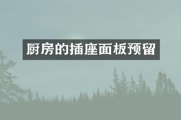 厨房的插座面板预留