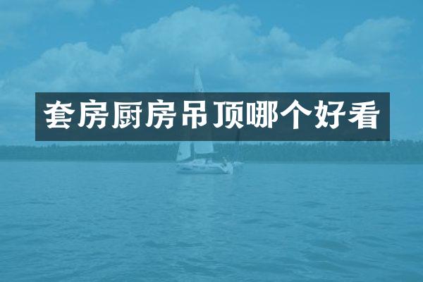 套房厨房吊顶哪个好看