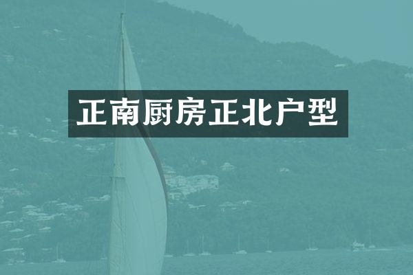 正南厨房正北户型