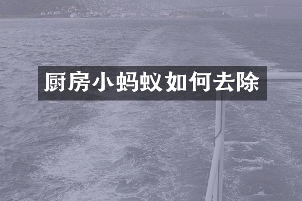 厨房小蚂蚁如何去除