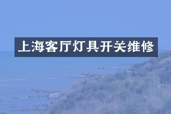 上海客厅灯具开关维修