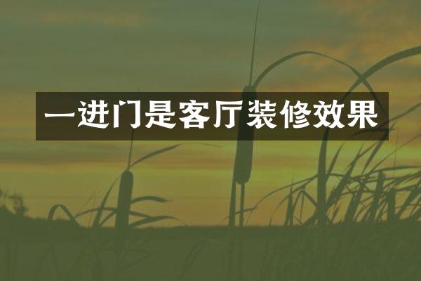 一进门是客厅装修效果
