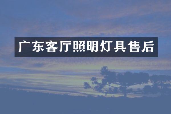 广东客厅照明灯具售后