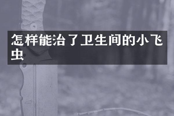 怎样能治了卫生间的小飞虫
