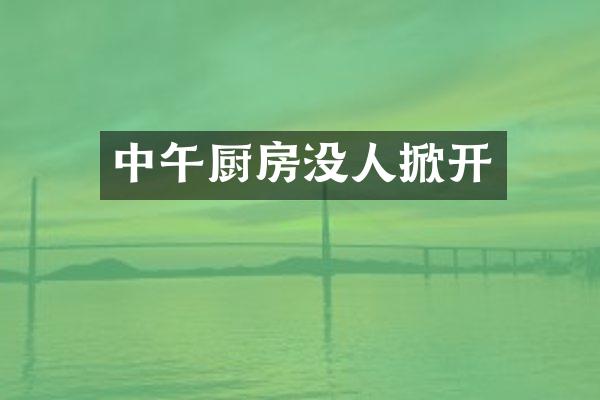 中午厨房没人掀开