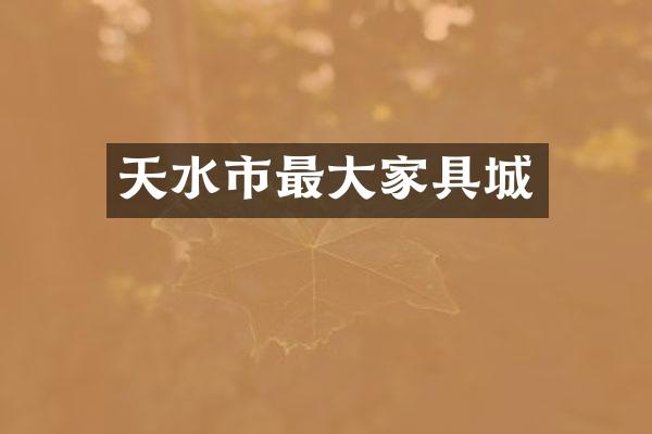 天水市最大家具城