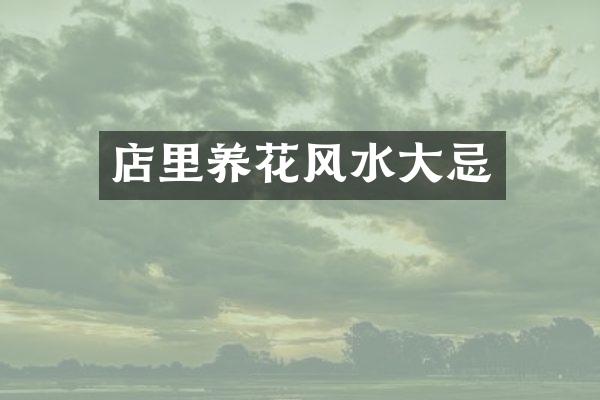 店里养花风水大忌