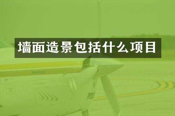 墙面造景包括什么项目
