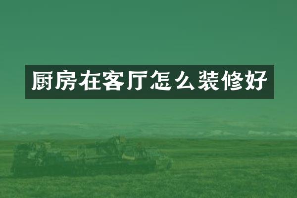 厨房在客厅怎么装修好