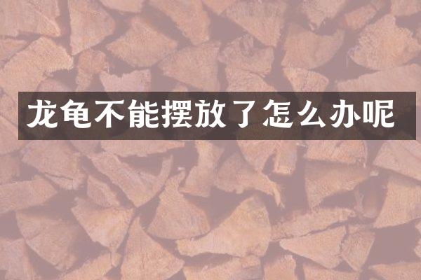 龙龟不能摆放了怎么办呢