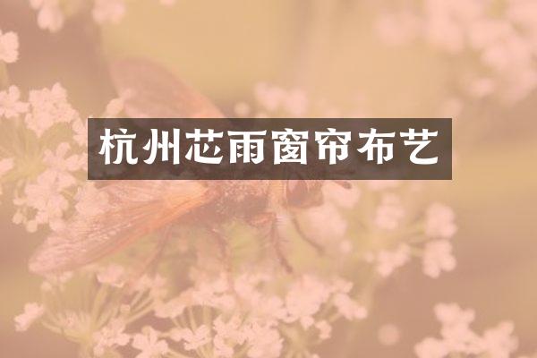 杭州芯雨窗帘布艺