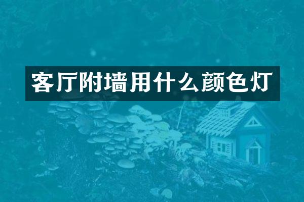 客厅附墙用什么颜色灯