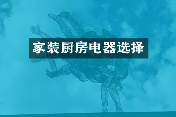 家装厨房电器选择