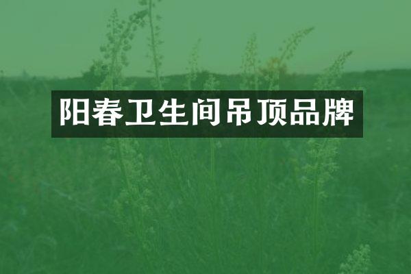 阳春卫生间吊顶品牌