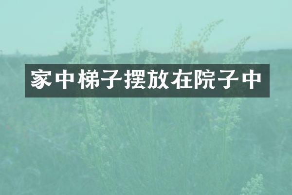 家中梯子摆放在院子中