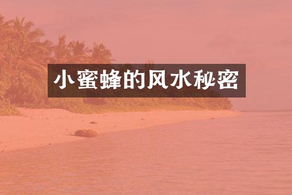 的风水秘密