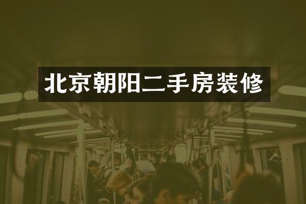北京朝阳二手房装修