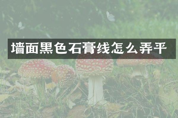 墙面黑色石膏线怎么弄平
