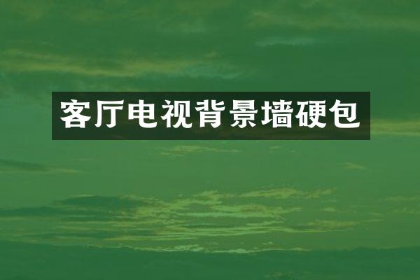 客厅电视背景墙硬包