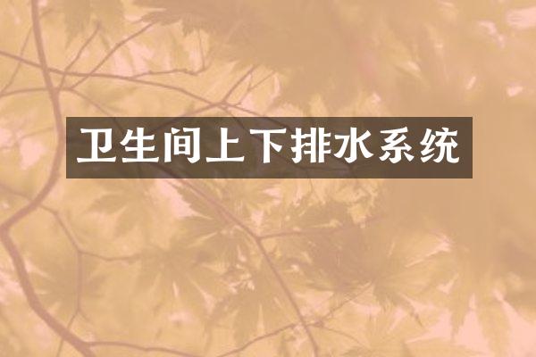 卫生间上下排水系统